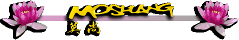 MoShang.net
